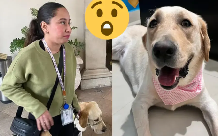 niegan_acceso_persona_discapacidad_perro