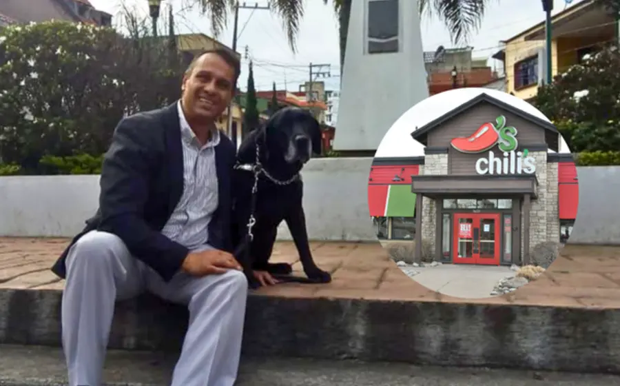 perro_guia_restaurante_chilis