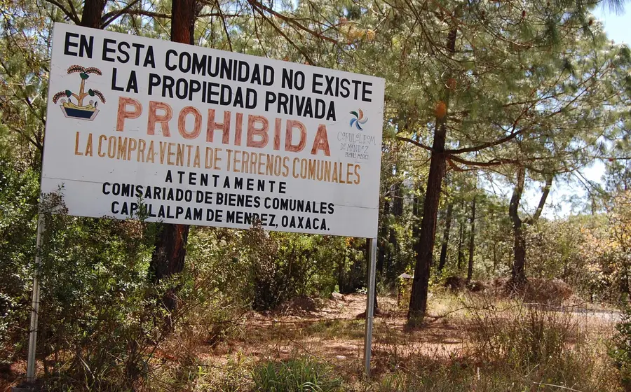 Defensores comunitarios de Capulálpam han sido denunciados por un supuesto intento de secuestro