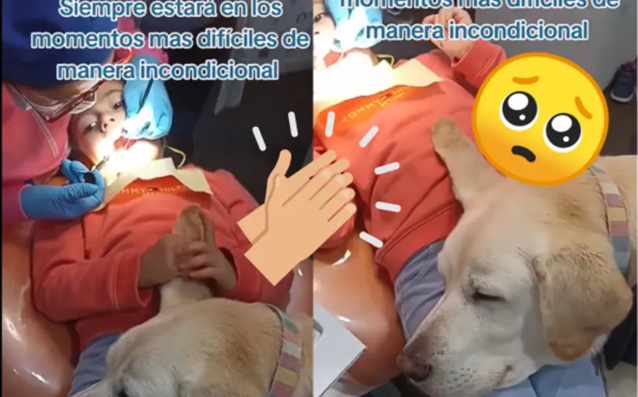 Dentista-portada
