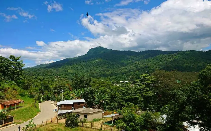 Lugar de los hechos
