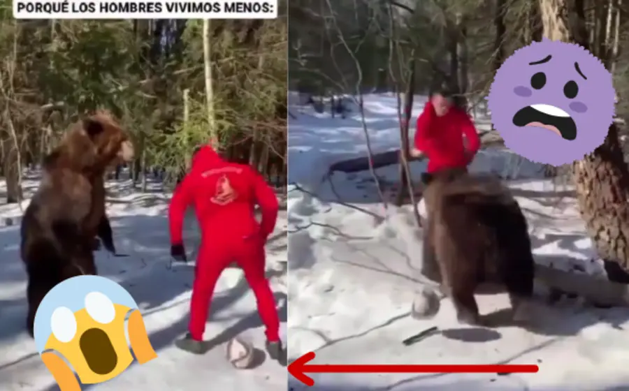 Oso