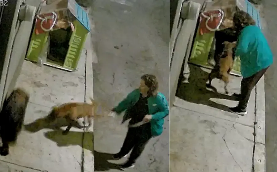 mujer_obliga_pitbull_atacar_lomitos