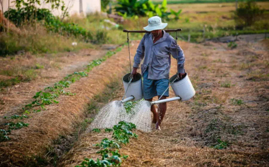 agricultura-apoyos