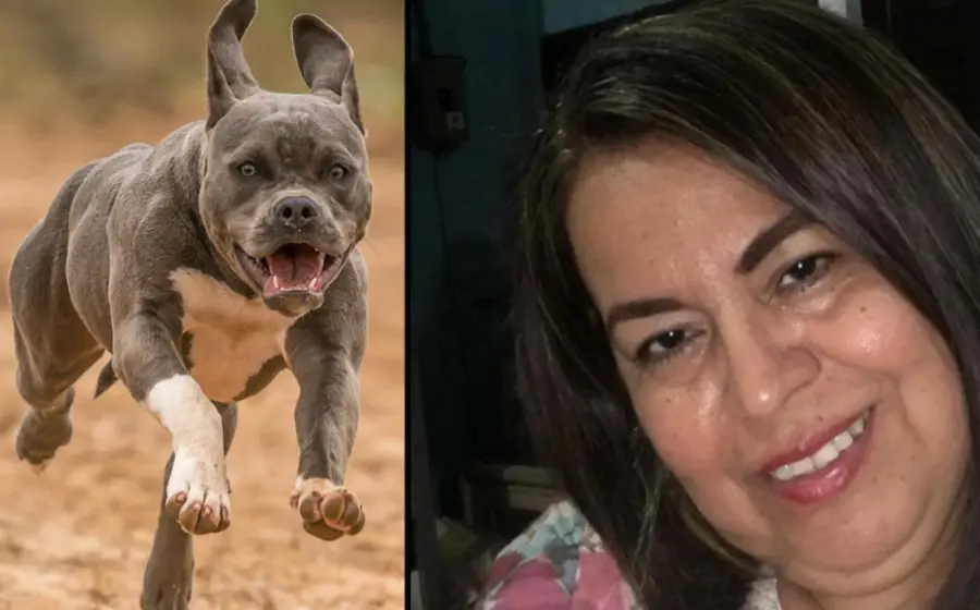 defensora_muere_atacada_sus_pitbull