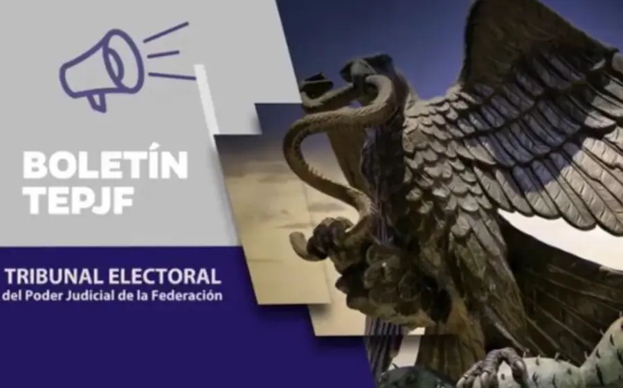 boletin-tribunal