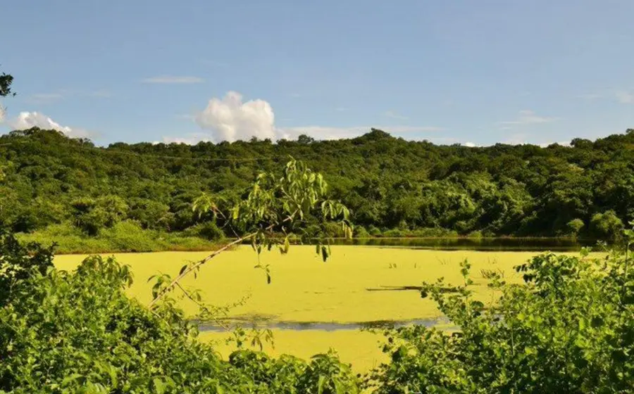 campo_golf_fonatur_huatulco_oaxaca