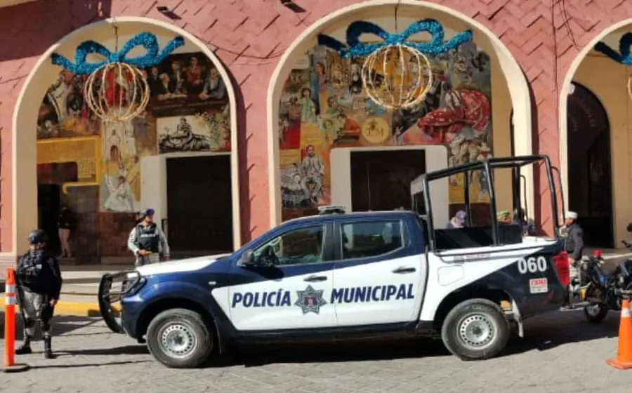 cateo-portada