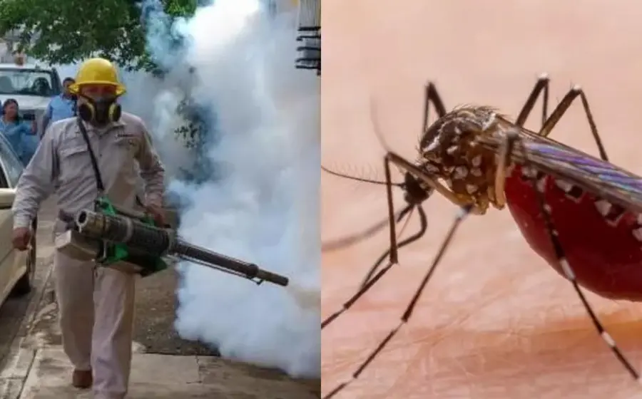 dengue-en-oaxaca