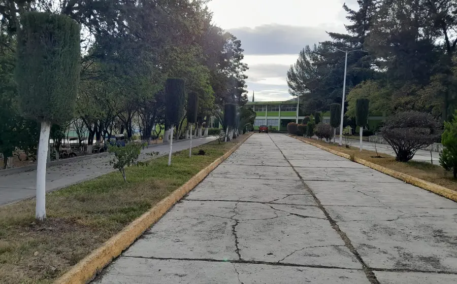 escuela-portada