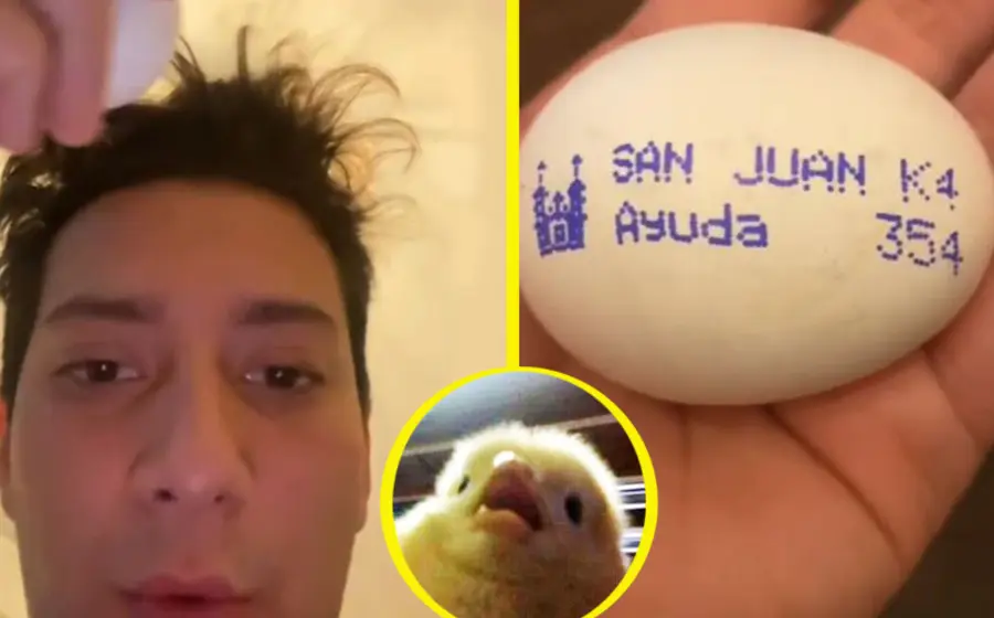 encuentra_mensaje_ayuda_huevo