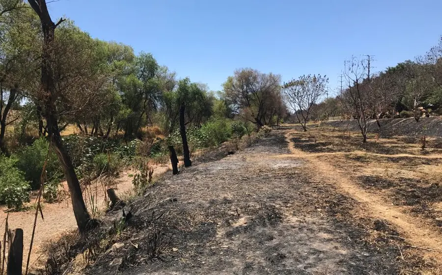 incendio-rio-atoyac3