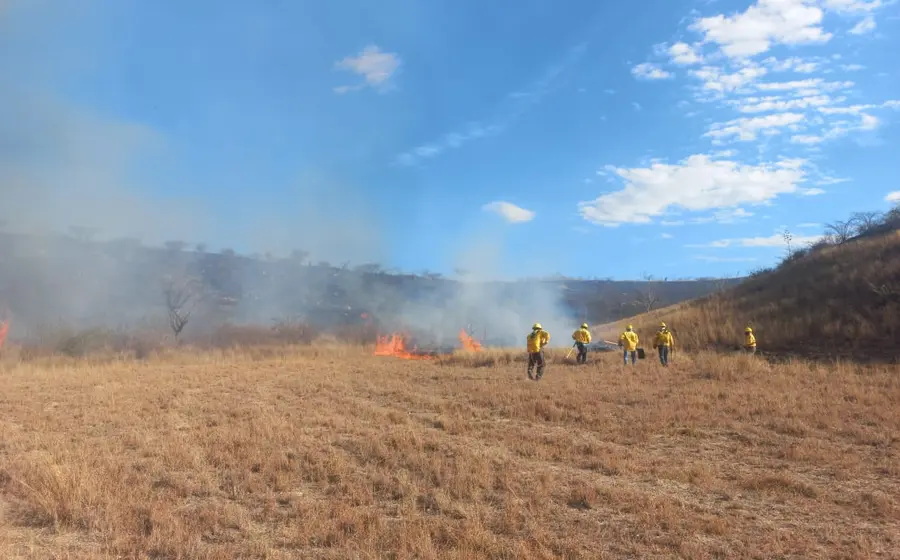 incendio-valles-centrales