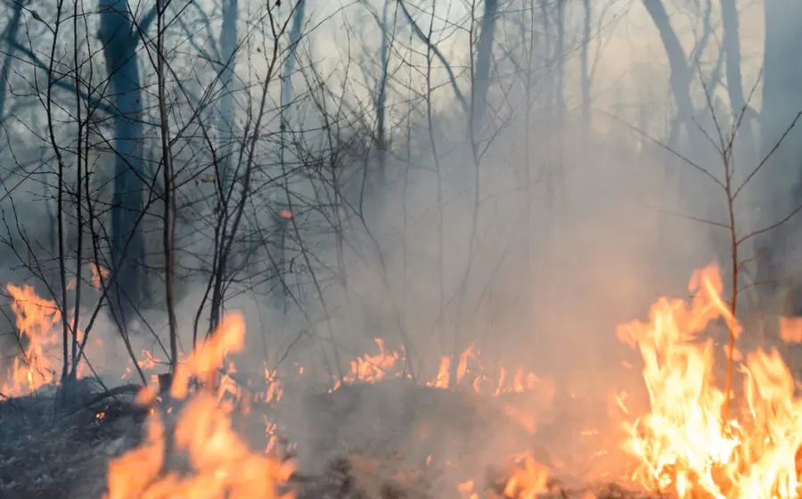 incendios-oaxaca