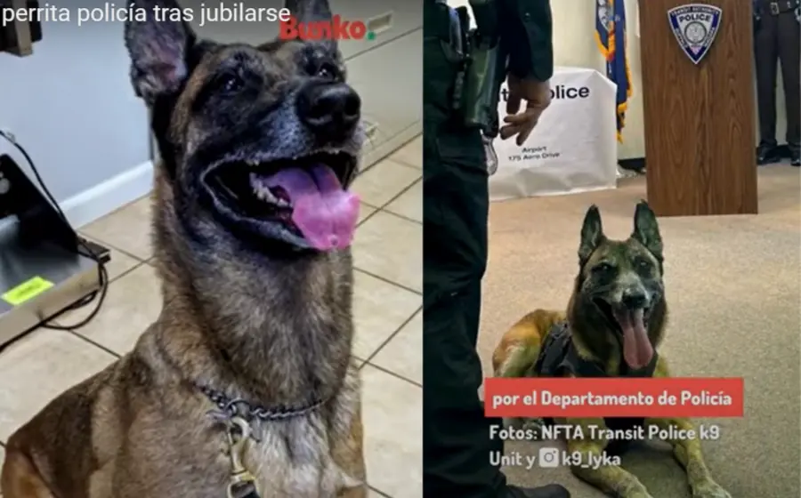 perrita_lyka_se_jubila_policia