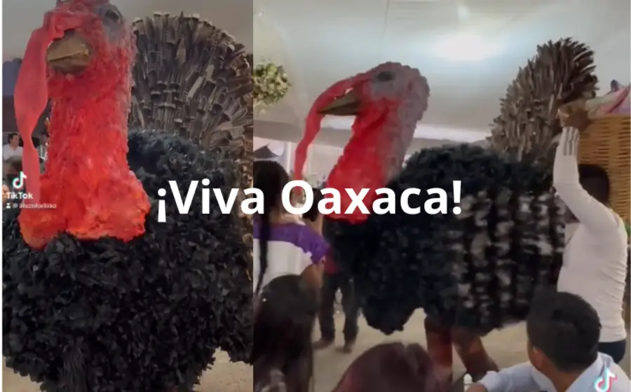 bailan_pavo_gigante_bautizo_oaxaca