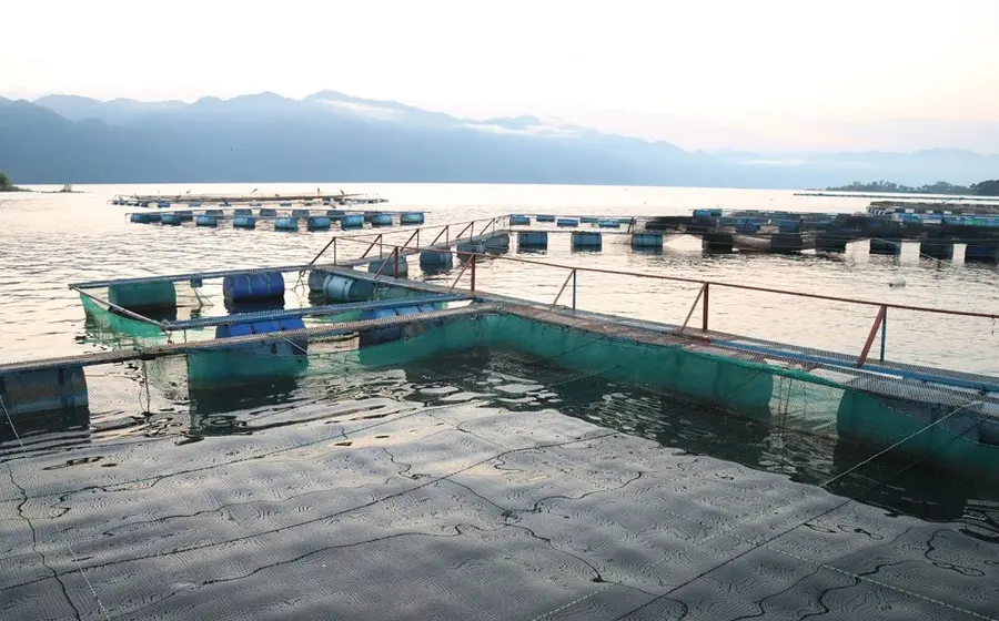 pesca-en-oaxaca