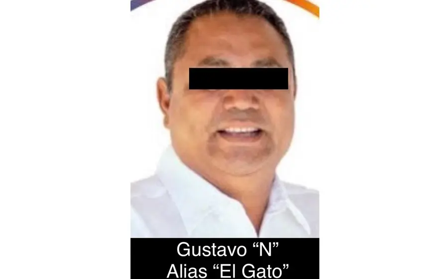 Gustavo-el-gato