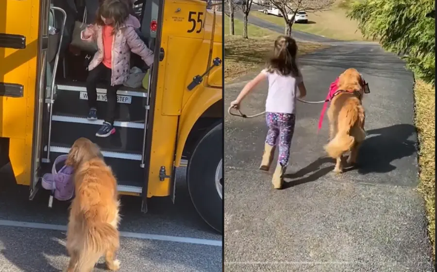 perrito_carga_mochila_a_niña