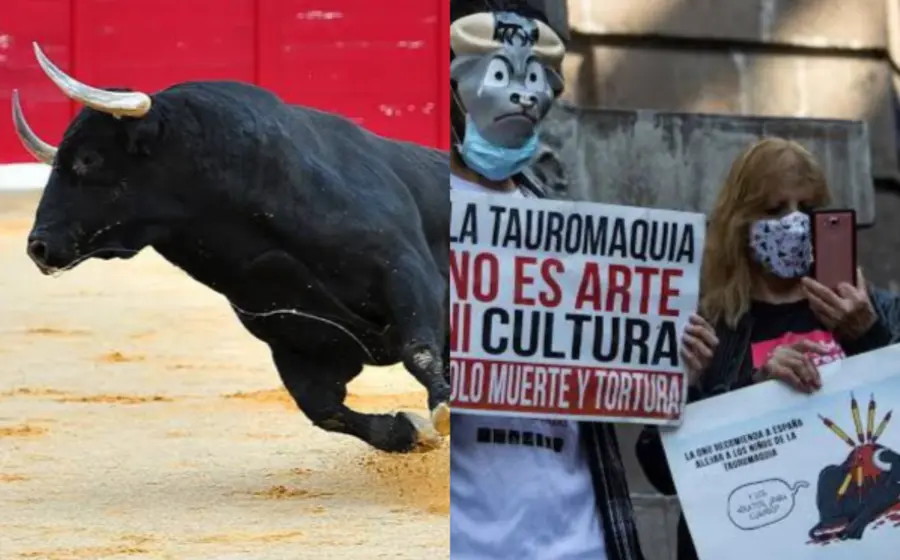 corridas-toro