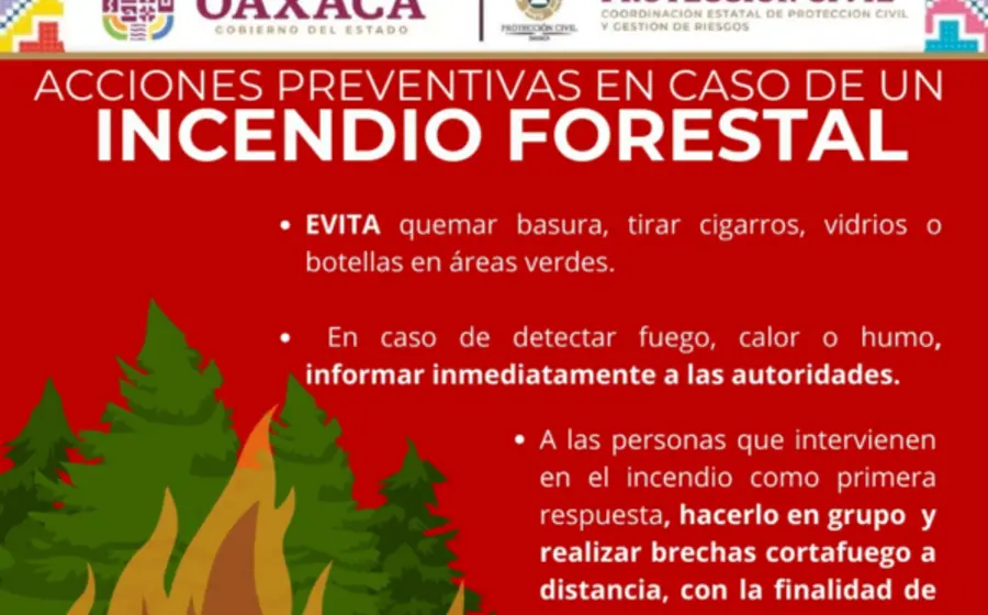 fuego-oaxaca