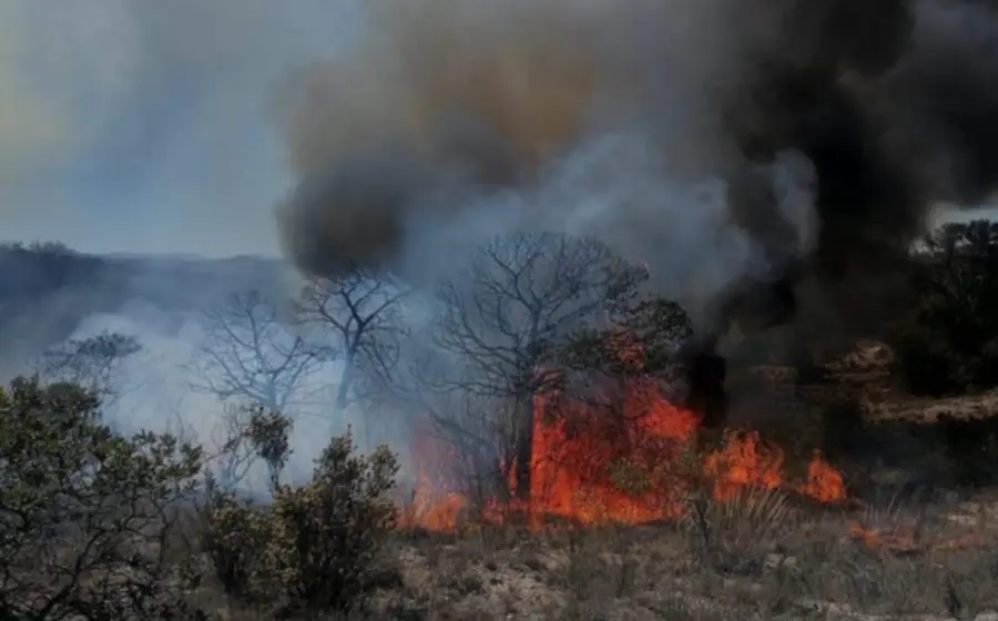 incendio-oaxaca
