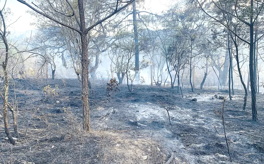 incendio-portada