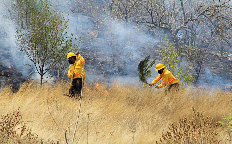 incendios-oaxaca