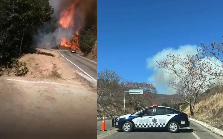 incendio_forestal_sierra_juarez_oaxaca