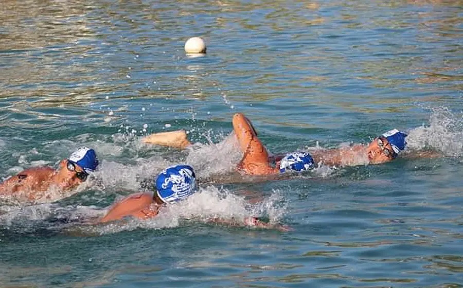 natacion-portada