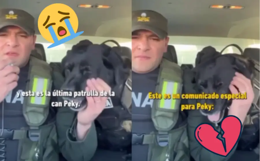 peky-portada