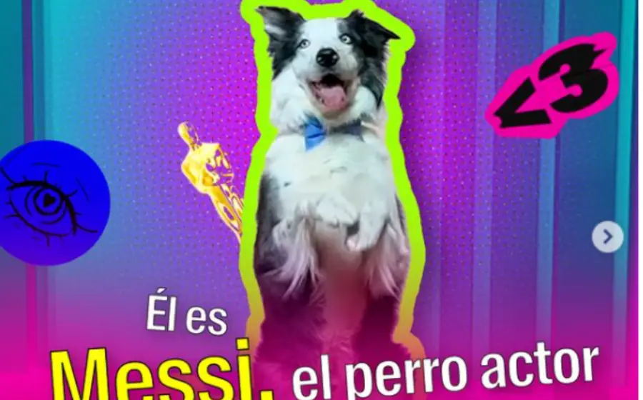 lomito_messi_conmociona_actuacion_cine