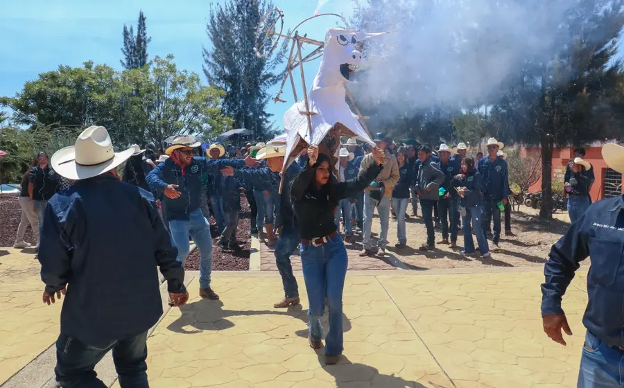 torito-portada