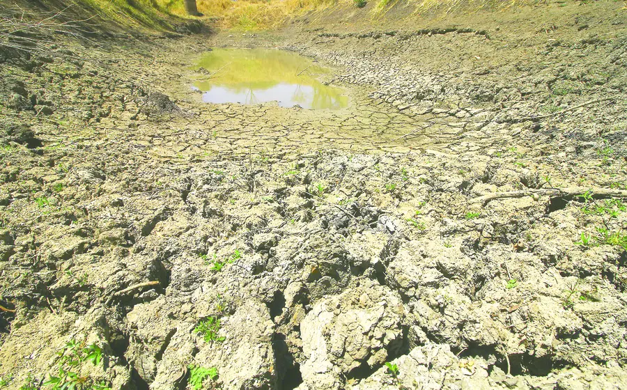 agua-portada
