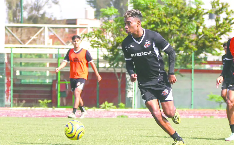 alebrijes-cuadrangular3
