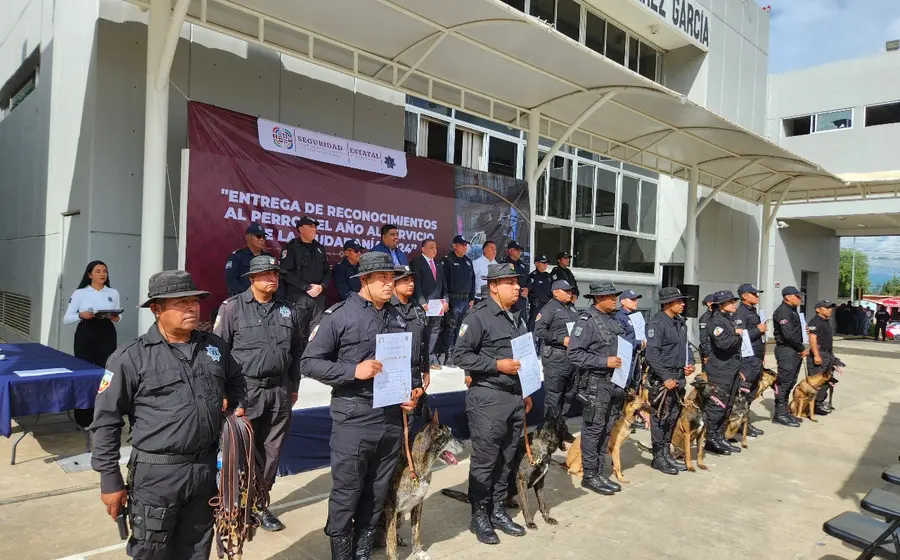 reconoce_sscp_labor_binomios_caninos 