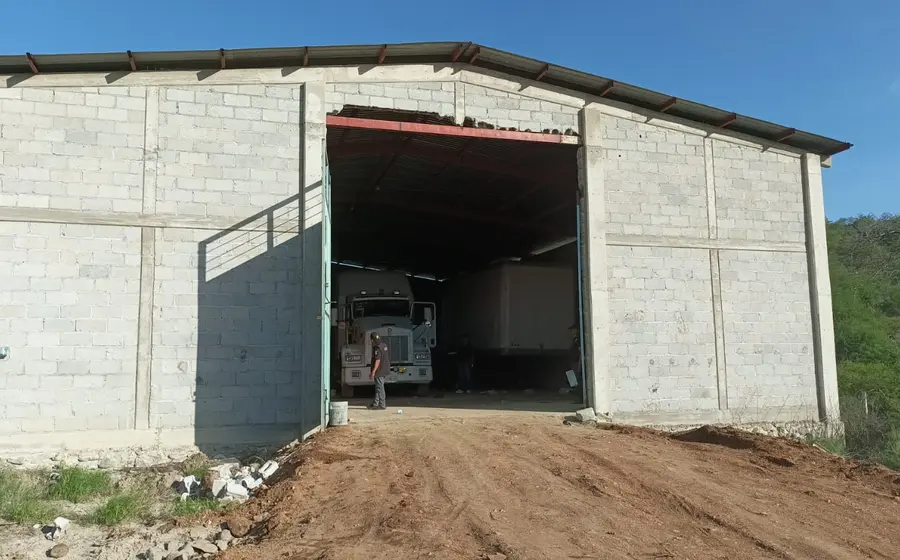 bodega