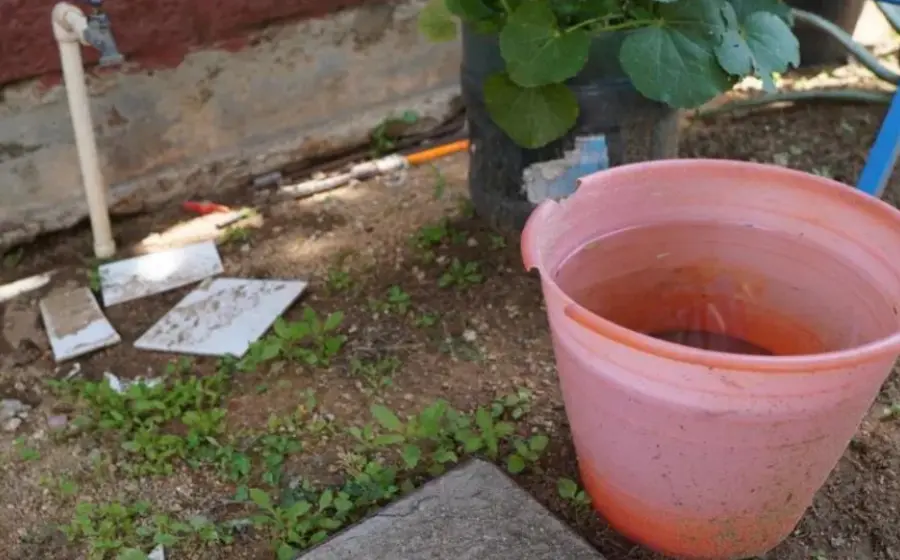 invita_soapa_cursos_niñez_cuidado_agua 