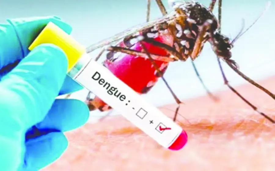 dengue