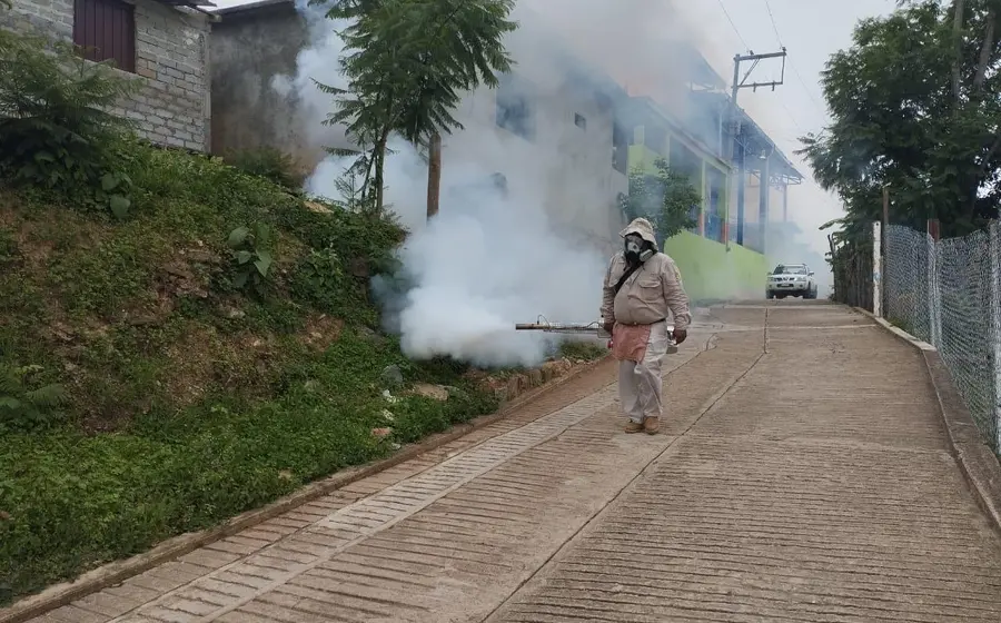 dengue