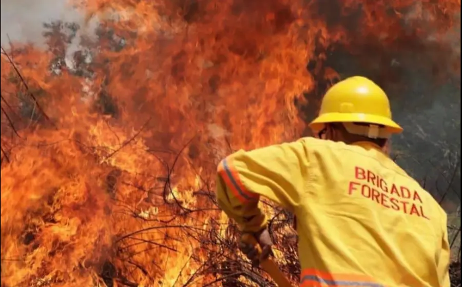 incendio-portada