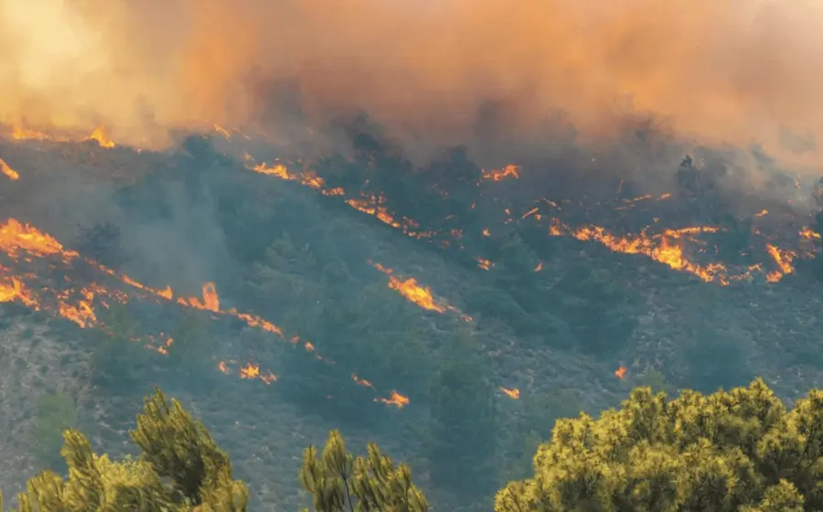 incendios-oaxaca