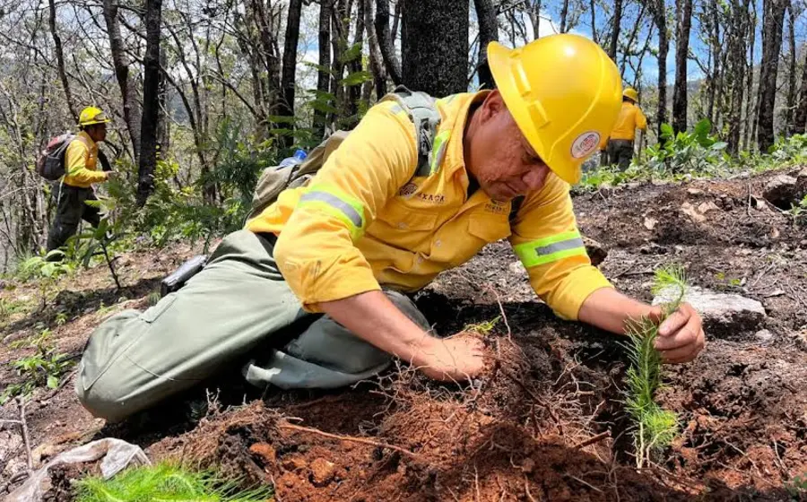 incendios