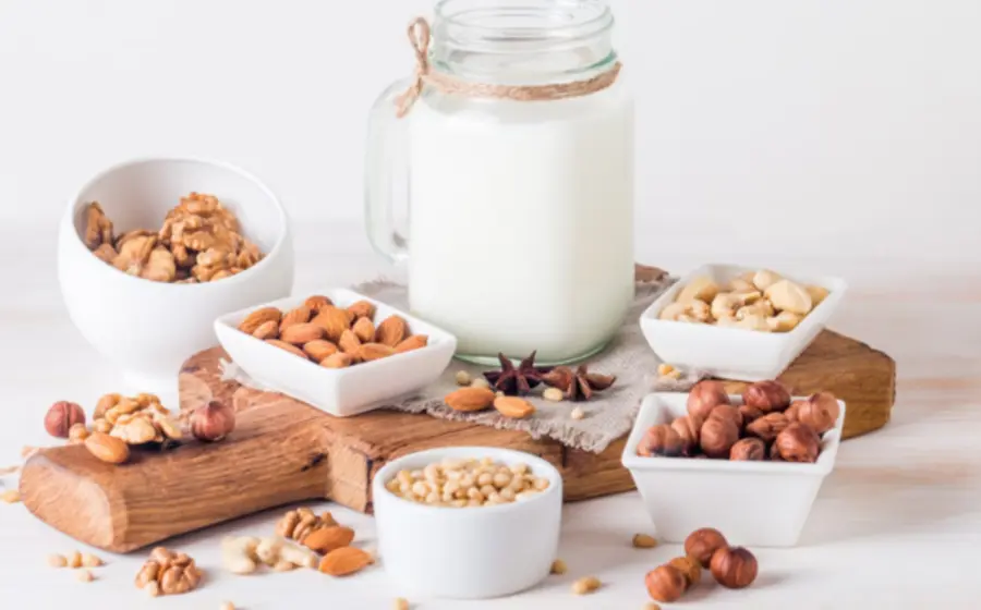 leche-vegetal
