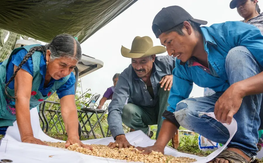 capacita_sefader_productores_maiz_taviche