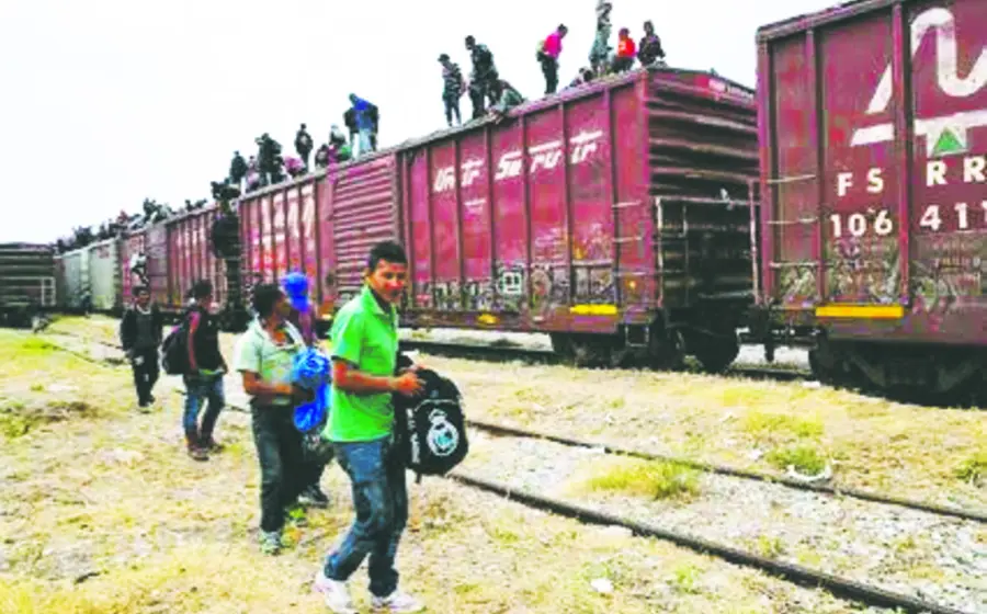 migrantes