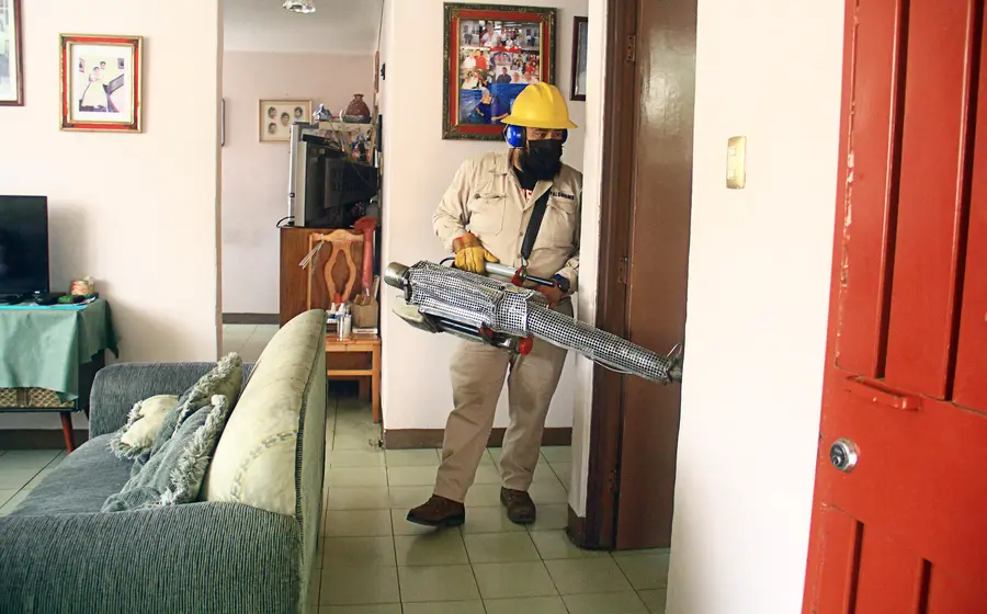 PRINCIPAL_3
