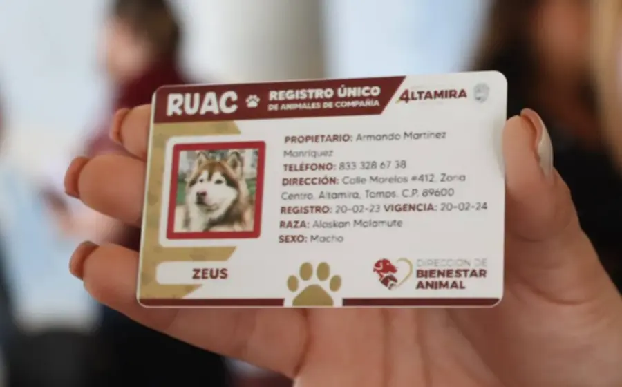 RUAC-portada