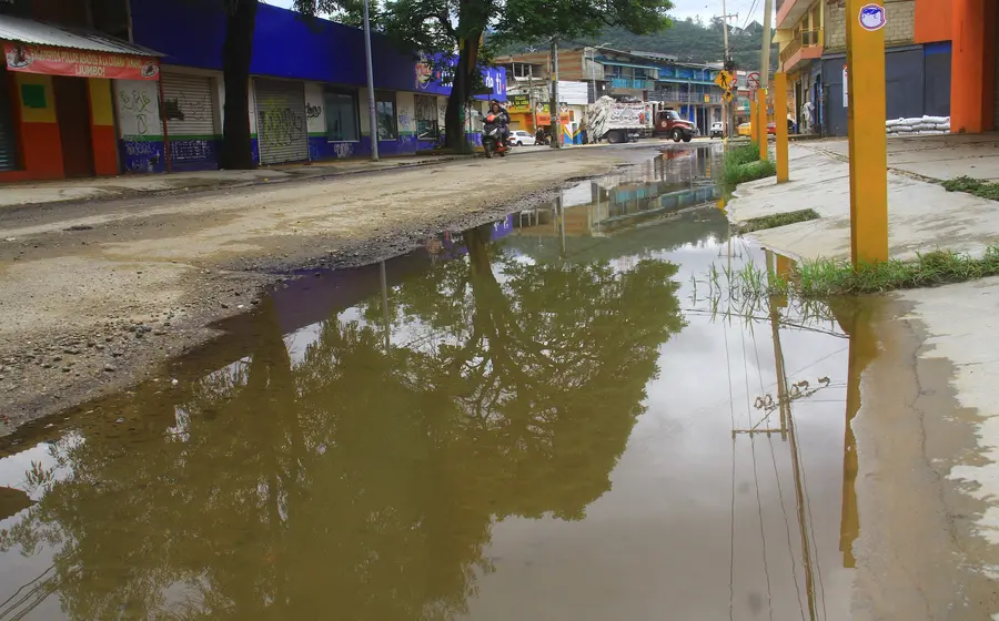 baches-portada