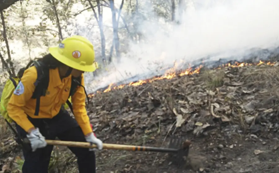 bombero-incendio